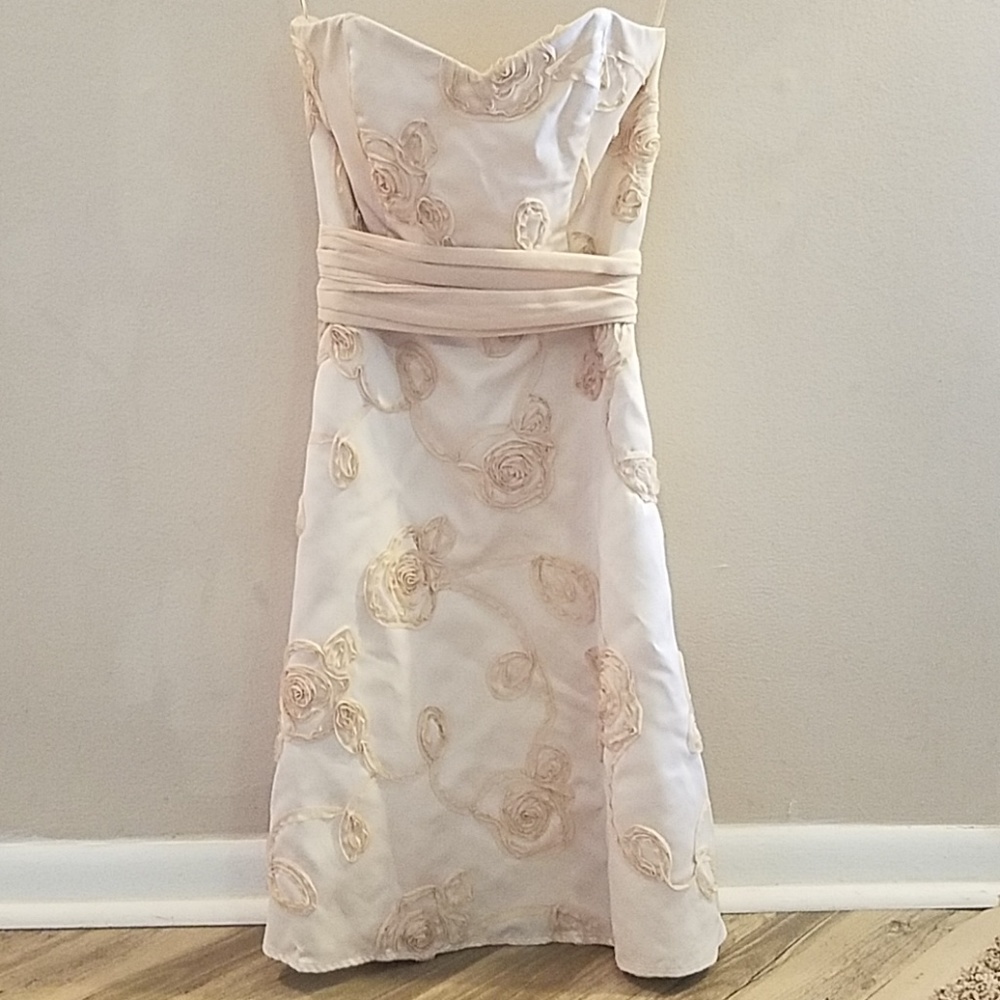 WHBM Blush Cocktail/Formal Dress
